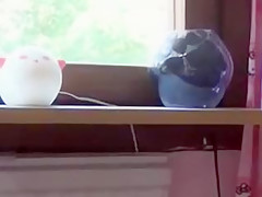 Crazy Homemade Shemale video with Fucks Girl, Dildos/Toys scenes