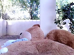 NevAmore free webcam show at 05/25/15 03:20 from MyFreeCams